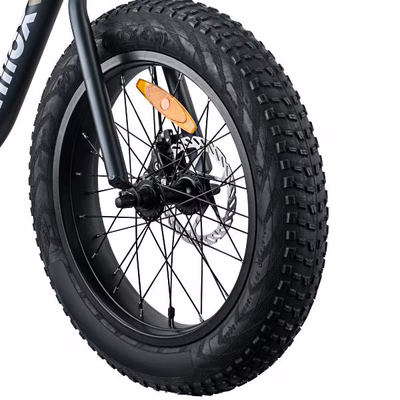 Immagine di Pneumatico anter ebike j4/ j4 plus