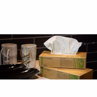 Immagine di Salviette di carta bamboo HYGENIA 2 veli 100 pezzi