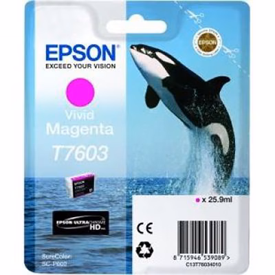 Immagine di Inkjet EPSON Epson S2 A2/A3 Inks C13T76034N10