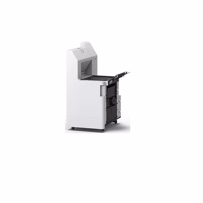 Immagine di EPSON unitè  ponte -bridge C12C935101