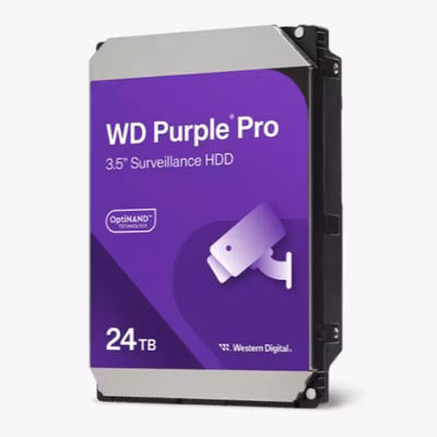 Immagine di WESTERN DIGITAL WD HDD AV WD240PURP