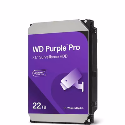 Immagine di WESTERN DIGITAL WD HDD AV WD221PURP