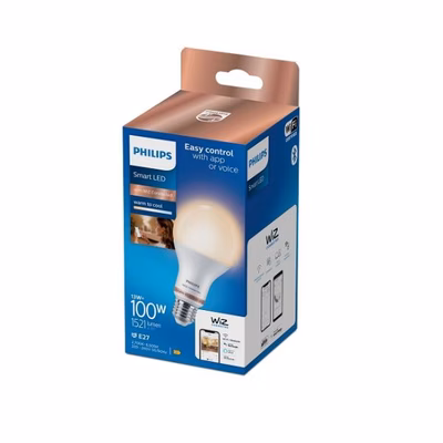 Immagine di Smart tw goccia smerigliata 100w e2