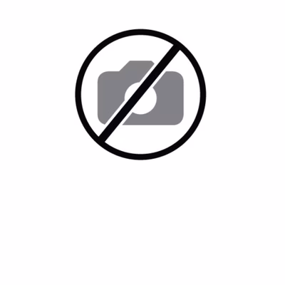 Immagine di Toner Laser nero HP HP SUPPLIES Toner H FIXED CF325XH