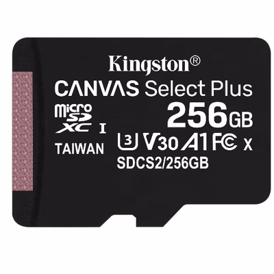 Immagine di Memory Card micro sd xc 256GB KINGSTON SDCS2/256GBSP
