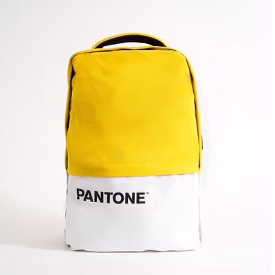 Immagine di Notebook da 15.6 poliestere giallo PANTONE PANTONE - Backpack 15.6'' IT COLLECTION PT-BK102Y
