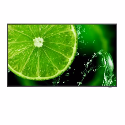 Immagine di Multisync e498q