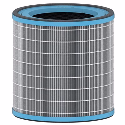 Immagine di Filtro HEPA per allergie Large per LEITZ Z-3000 2415119