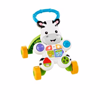 Immagine di Zebra primi passi