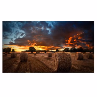 Immagine di Vm55b-u 55 ips 1920x1080 500 cd/m2