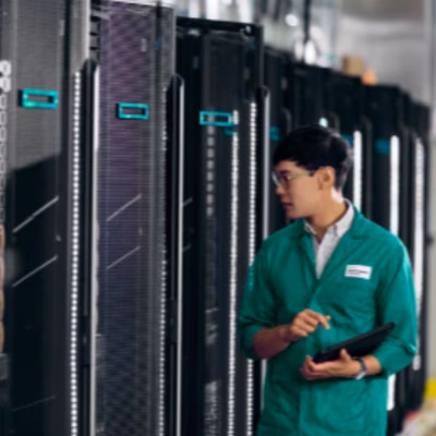 Immagine di Hpe mr416i-p gen11 spdm storage cntlr