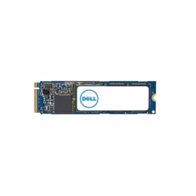 Immagine di Ssd interni 1000GB m.2 nvme DELL DELL M.2 PCIE NVME GEN4X4 - 1TB AC037409