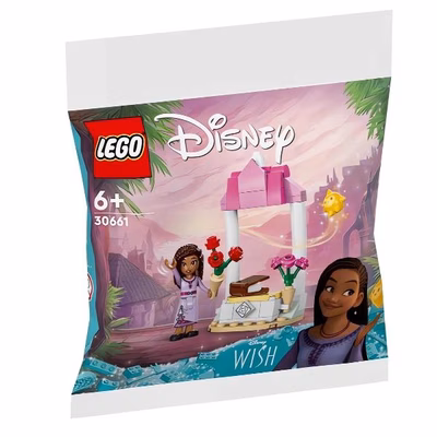 Immagine di Costruzioni LEGO Il banco di benvenuto di Asha 30661