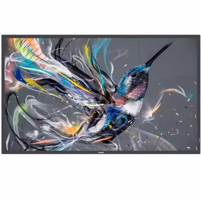 Immagine di Monitor 50 q-line 18/7 4K