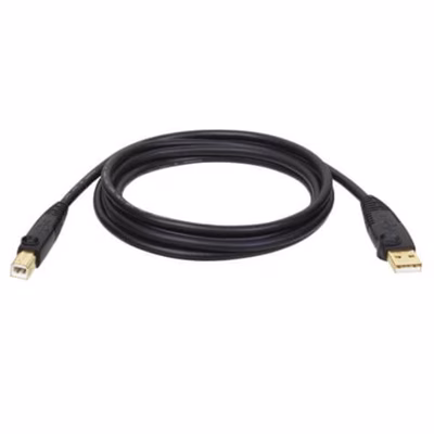 Immagine di USB 2.0 a/b cable (m/m), 6 ft.1.8m