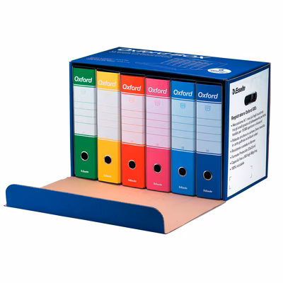 Immagine di Box raccoglitori ESSELTE G85 cm 8 prot. colori assortiti