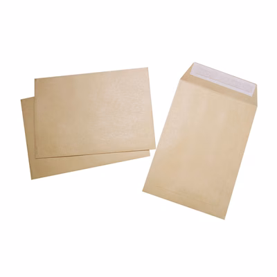 Immagine di Buste a sacco kraft avana con strip autoadesivo cm 19x26 g80