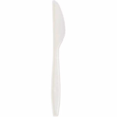 Immagine di Coltello in CPLA bianco lunghezza 155 mm