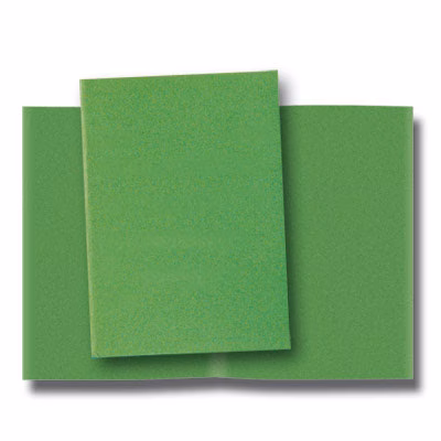 Immagine di Cartellina ELICA BRISTOL g260 senza lembi verde