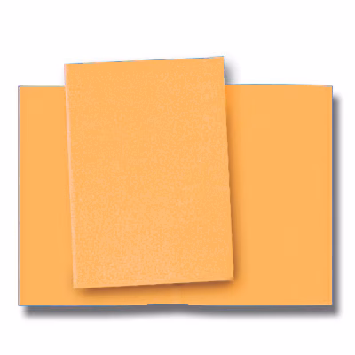 Immagine di Cartellina ELICA BRISTOL g260 senza lembi arancio