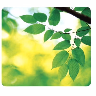 Immagine di Mousepad eco earthseries foglie
