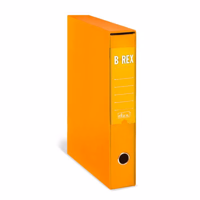 Immagine di Raccoglitore ELICA B-REX dorso cm 5 commerciale colore giallo ocra