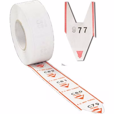 Immagine di Rotolo scontrini per sistema eliminacode rosso