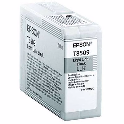 Immagine di Inkjet EPSON C13T850900 nero chiaro chiaro 80 ml