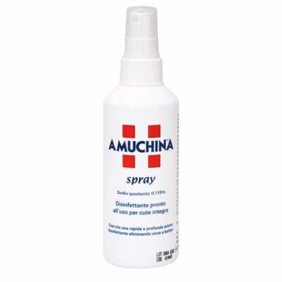 Immagine di Disinfettante spray AMUCHINA ml 200