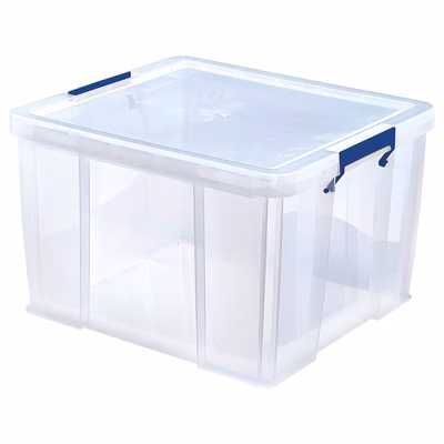 Immagine di Scatola in plastica FELLOWES PROSTORE STORAGE BOX l 48