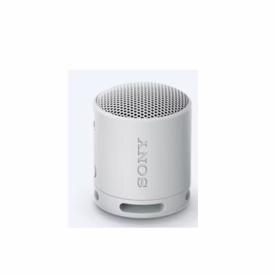 Immagine di Cassa per Smartphone/Tablet/Mp3 si Grigio SONY XB100 SRSXB100H.CE7