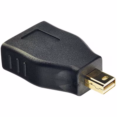 Immagine di Adattatore Mini DisplayPort Maschio / DisplayPort Femmina