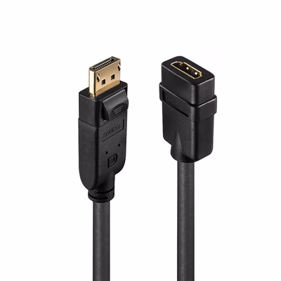 Immagine di Converter DisplayPort a HDMI
