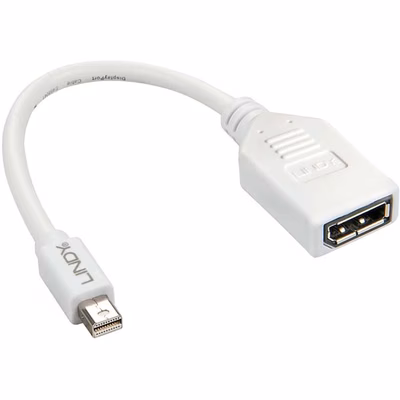 Immagine di Adattatore Mini-DP Maschio a DP Femmina, 20cm