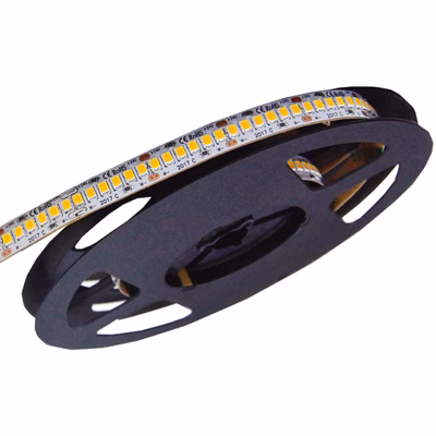 Immagine di StrIP LED 10/240 24Vdc 22W/M 5M IP20 6000K