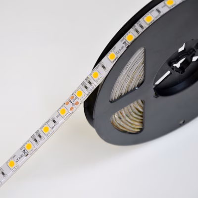 Immagine di StrIP LED 10/60 24Vdc 14,4W/M 5M IP65 6000K