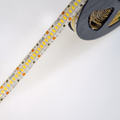 Immagine di StrIP LED 10/240 24Vdc 22W/M 5M IP65 6000K