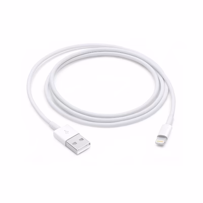 Immagine di Lightning to USB cable (1 m)