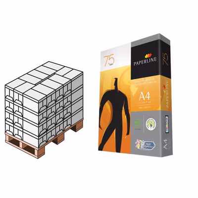 Immagine di Pallet carta bianca per fotocopie A4 g75 ff 500 (Lazio)