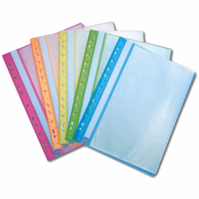 Immagine di Gruppo di 10 buste fisse termosaldate a for.univ.