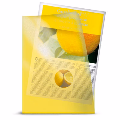 Immagine di Cartellina ad L ELICA ELLE 13 color giallo