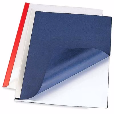 Immagine di Dorsini pvc mm 3 capacità 13 fogli bianco