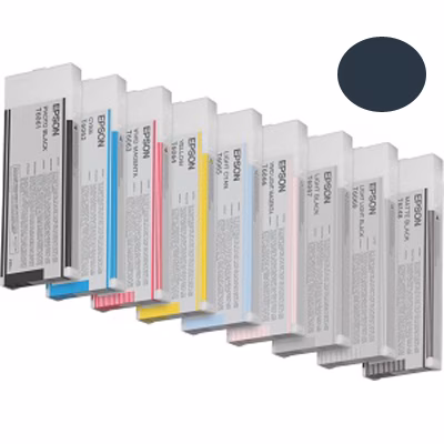 Immagine di Inkjet EPSON C13T606700 nero light 220 ml