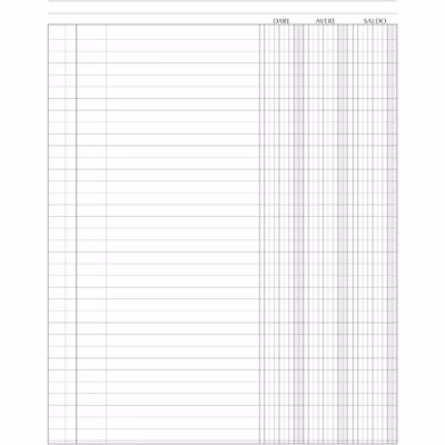 Immagine di Mastro saldaconti FLEX 1353 pg96 cm24,5x31