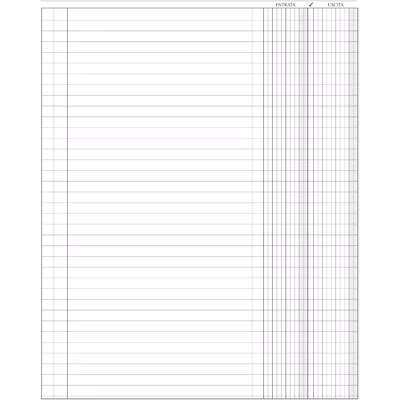 Immagine di Libro cassa FLEX 1358 pg96 cm 24,5x31