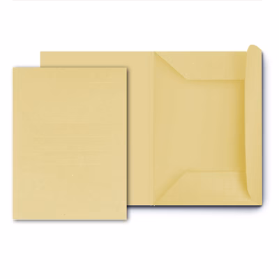 Immagine di Cartella in manilla 3 lembi cm 25x33 giallo g 180