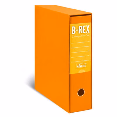 Immagine di Raccoglitore ELICA B-REX dorso cm 8 commerciale colore giallo ocra