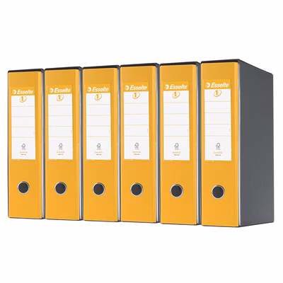 Immagine di Raccoglitore ESSELTE EUROFILE G55 cm 8 prot. giallo