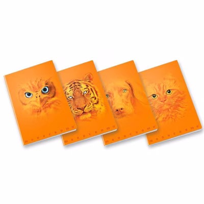 Immagine di Cf10 orange a4 100gr r.5m ff38