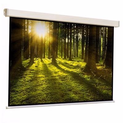 Immagine di Telo per videoproiettori manuale a parete/soffitto 1:1 no 196 cm 196.00000 SOPAR Manuale Platinum 20